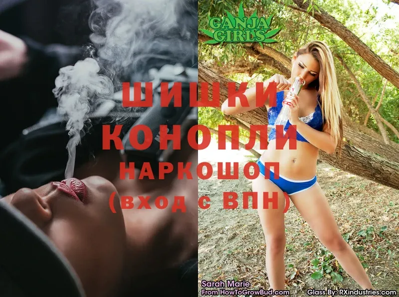 купить закладку  Щёкино  Шишки марихуана Amnesia 